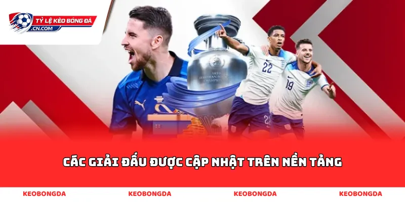 Các giải đấu được cập nhật trên nền tảng