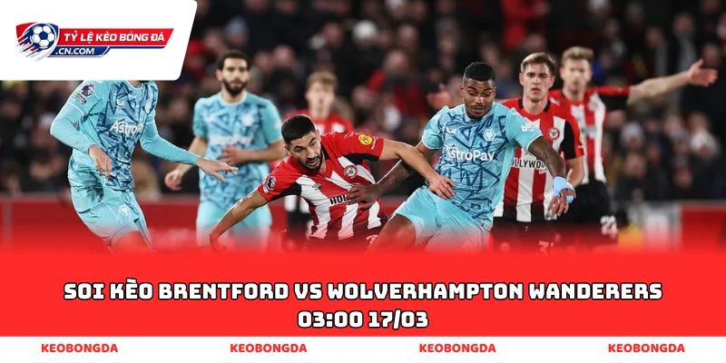 soi kèo Brentford vs Wolverhampton Wanderers 03:00 17/03